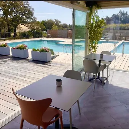 Cerica Proche De La De Saint Cyprien Lecci