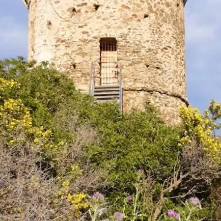 Cerica Proche De La De Saint Cyprien Apartment Lecci