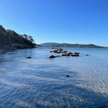 Apartment Cerica Proche De La De Saint Cyprien