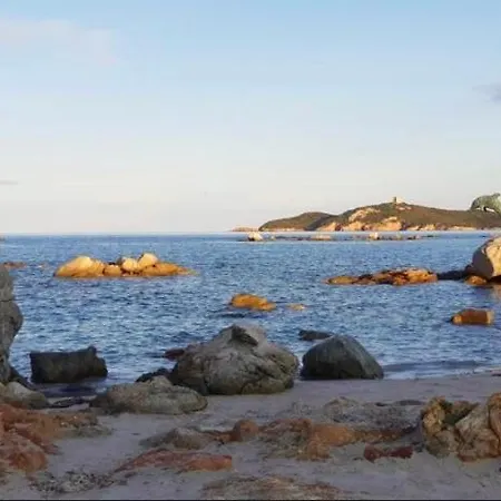 Cerica Proche De La De Saint Cyprien *