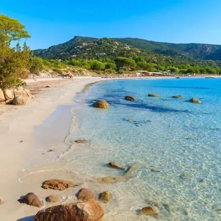 Cerica Proche De La De Saint Cyprien