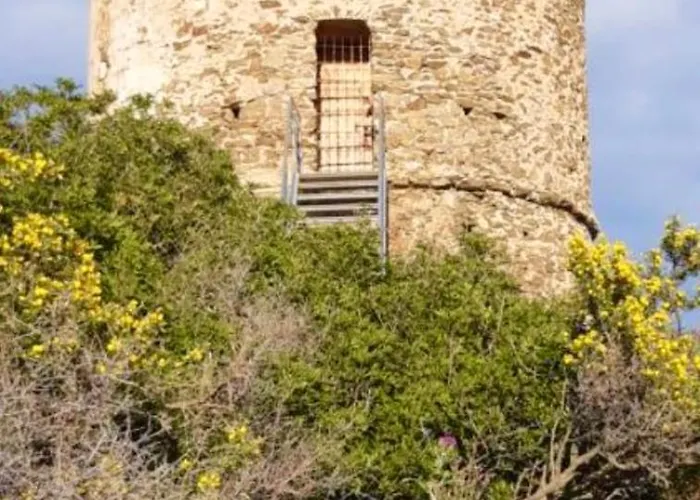 Cerica Proche De La De Saint Cyprien Apartment Lecci